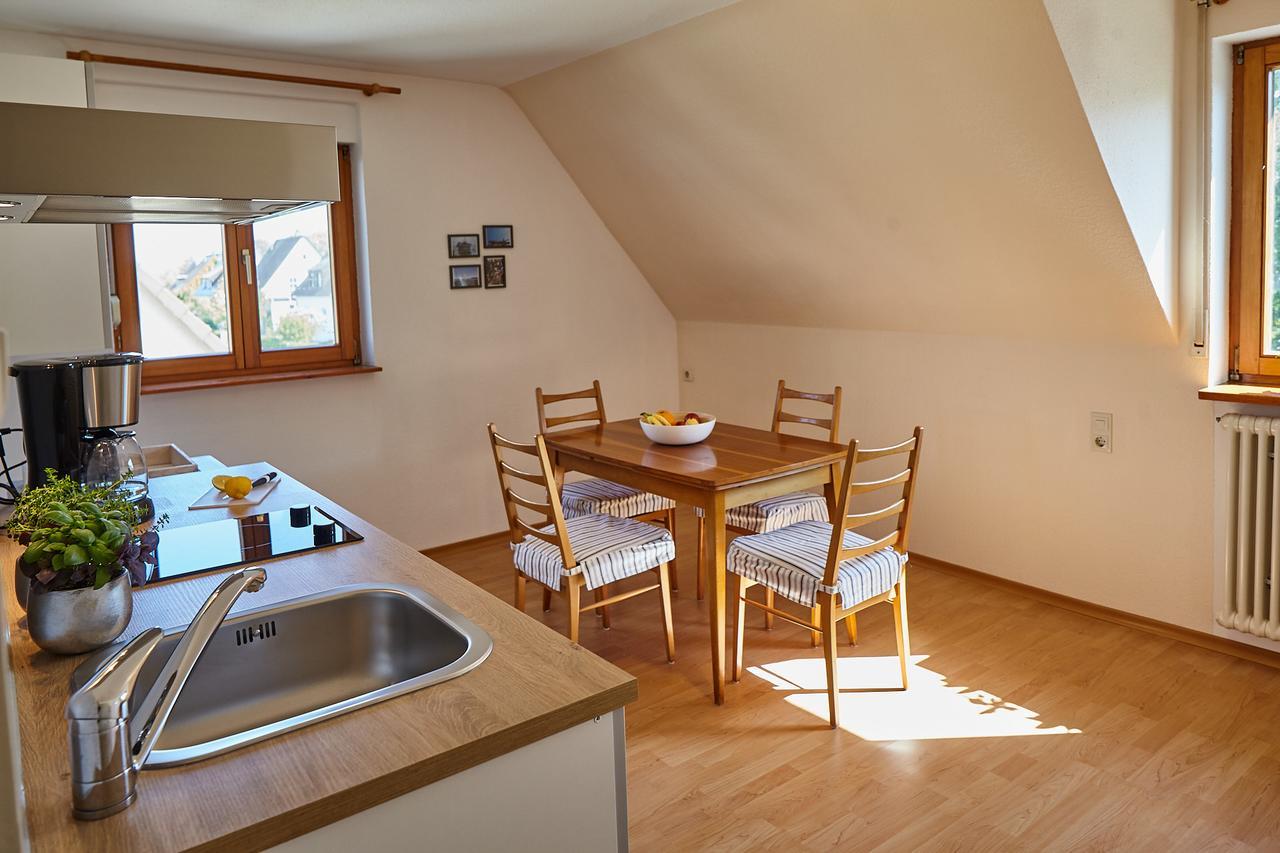 Bodensee Apartment Friedrichshafen Seenah Exterior foto